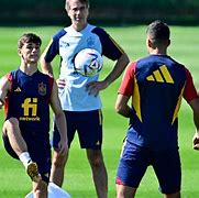 葡萄牙狂胜！西班牙队全军覆没的简单介绍